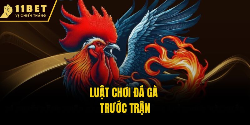 Luật chơi đá gà trước trận