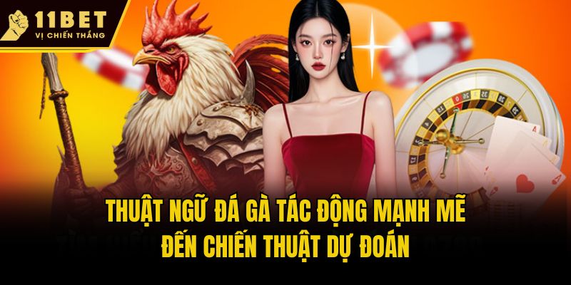 Thuật ngữ đá gà tác động mạnh mẽ đến chiến thuật dự đoán